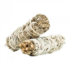 Lot de 2 sauges blanche amérindienne