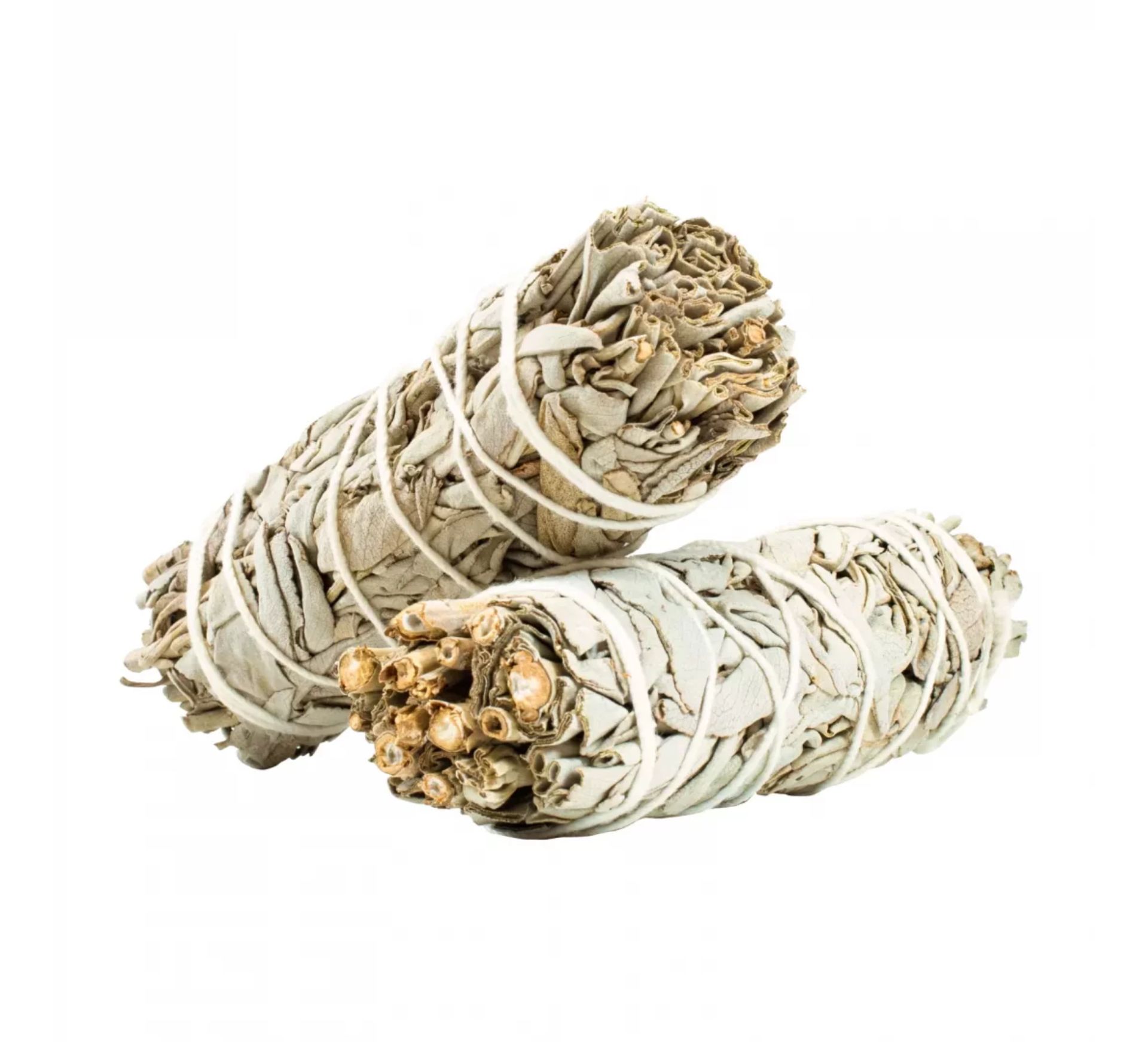 Lot de 2 sauges blanche amérindienne